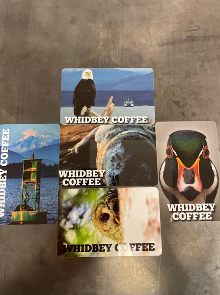 Whidbey Coffee Gift Card IN STORE ONLY